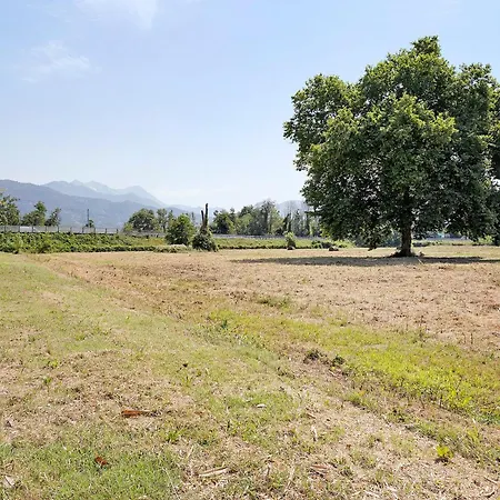 Holiday home Casa La Rondine In Versilia